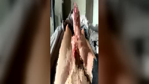 leo41231 online show from 04.21.26