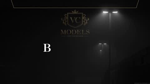 Leo Salvatore online show from 02.01.25