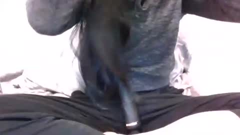 lets_play143 online show from 02.16.26