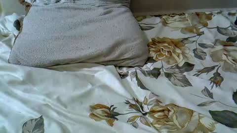 Snapshot of letshaveitbby chatting on 11.15.25 letshaveitbby online show from 11.15.25