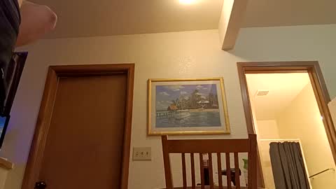 letsplay361 online show from 03.08.25