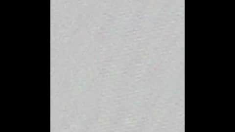 lewenzi online show from 12.01.24