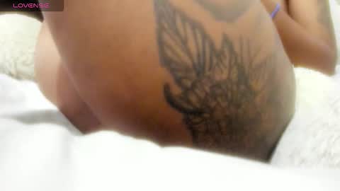 LEXXI online show from 02.15.26