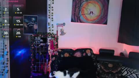 Lexxii online show from 05.17.26