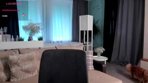 Libby online show from 01.12.25