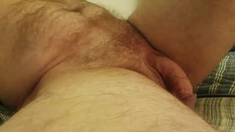 licam online show from 10.17.25