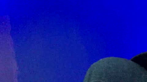 LickYourYoni online show from 12.25.24