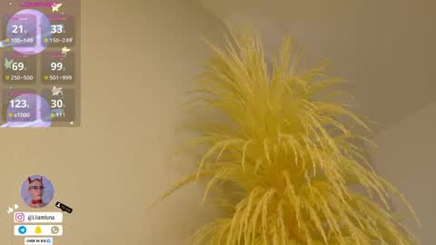 Liiam Luna online show from 04.15.26