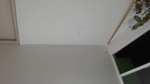 liiz5 online show from 12.31.24