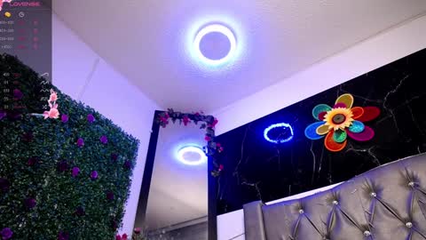   online show from 12.24.24