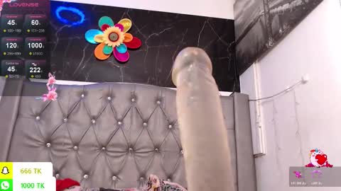   online show from 02.24.26