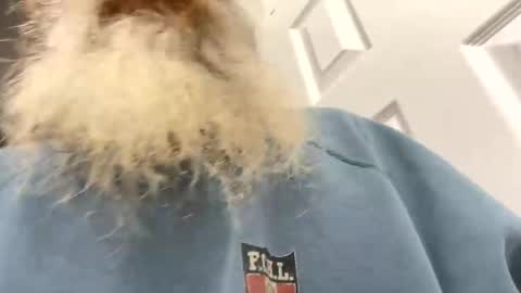 lilchaps69 online show from 02.04.26