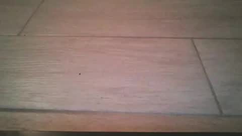 Snapshot of lildicksissy chatting on 11.22.25 lildicksissy online show from 11.22.25