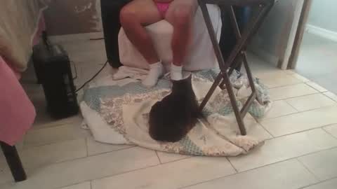 Snapshot of lildicksissy chatting on 11.28.25 lildicksissy online show from 11.28.25