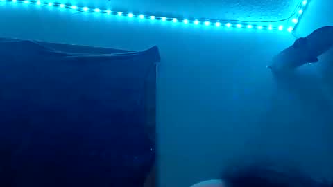 lildman420 online show from 11.12.25