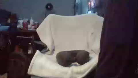 lildman420 online show from 03.24.26