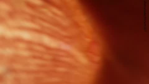 Snapshot of lilicum301 chatting on 11.24.25 your love online show from 11.24.25