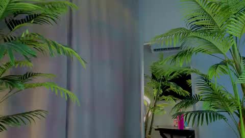 lililok101 online show from 11.19.25