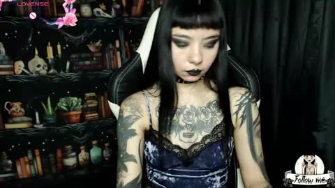   online show from 12.20.24