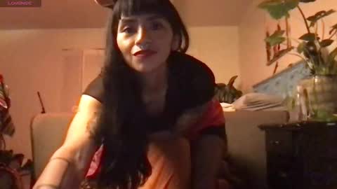 Little Lily online show from 12.22.25