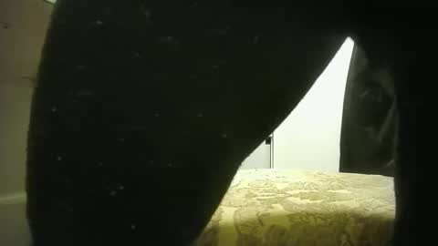 lily lovelyman online show from 12.19.24