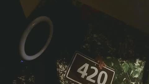 lilybvixen online show from 02.25.26