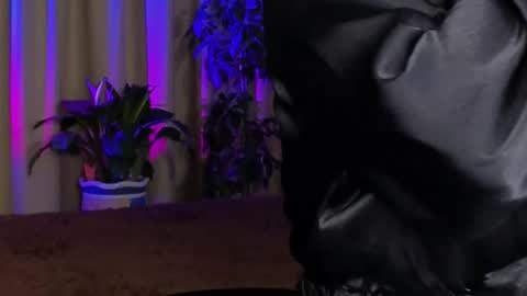 Lily online show from 10.27.25