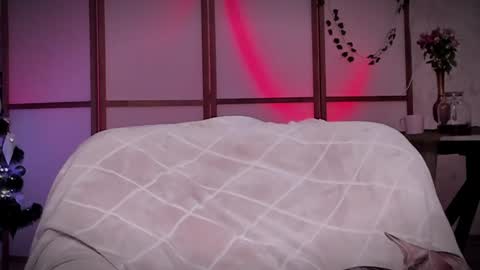 Snapshot of lina_n_kitty chatting on 12.16.24 Lina - online show from 12.16.24