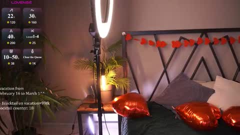 Snapshot of lindathacker chatting on 02.14.26 your Linda is back online show from 02.14.26