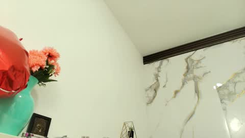 Snapshot of lindsey8 chatting on 03.01.26 Lindsey online show from 03.01.26