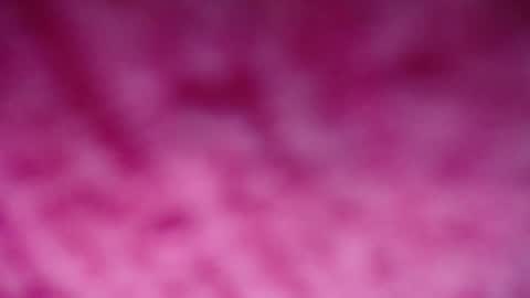 lindsey_2023 online show from 12.29.24