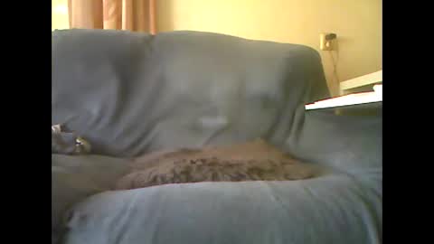 lion160868 online show from 10.26.25