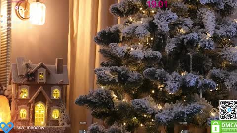 Snapshot of lissa_meooow chatting on 01.19.25 your Liza again. Next stream Dec. 1 at 2 or 3 GMT online show from 01.19.25