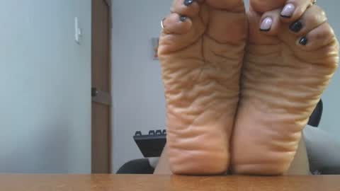 Lissafeethot online show from 11.20.25