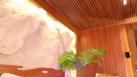 Snapshot of lissafeniix chatting on 03.03.26 Isaa online show from 03.03.26