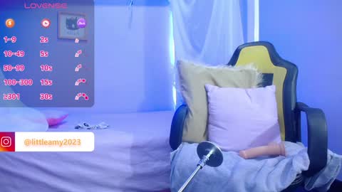 Snapshot of little__amy_ chatting on 12.20.24 AMY online show from 12.20.24