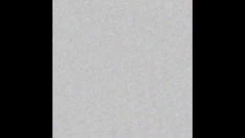 Snapshot of little_pearl_ chatting on 02.17.25 Adaline online show from 02.17.25