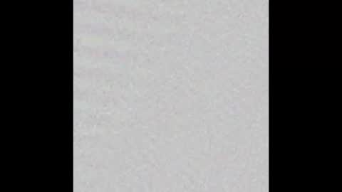 Snapshot of little_pearl_ chatting on 02.18.25 Adaline online show from 02.18.25