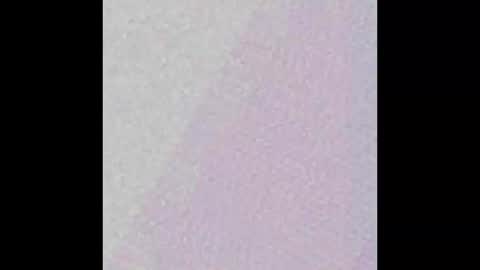 Snapshot of little_pearl_ chatting on 02.27.25 Adaline online show from 02.27.25