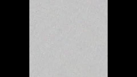 Snapshot of little_pearl_ chatting on 11.23.25 Adaline online show from 11.23.25