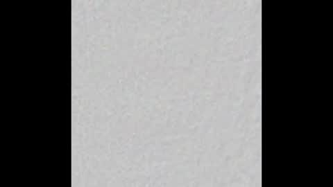 Snapshot of little_pearl_ chatting on 12.22.25 Adaline online show from 12.22.25