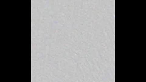 Snapshot of little_pearl_ chatting on 02.15.26 Adaline online show from 02.15.26