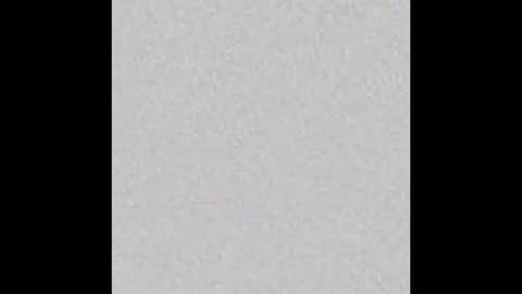 Snapshot of little_pearl_ chatting on 03.02.26 Adaline online show from 03.02.26