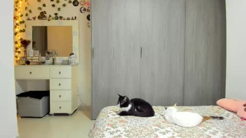 Luna online show from 03.29.26