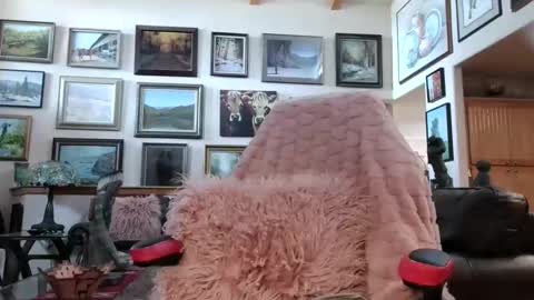 Miss D   Shows Mon Wed  Fri online show from 04.13.26