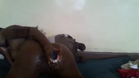 littlesandie online show from 03.10.25