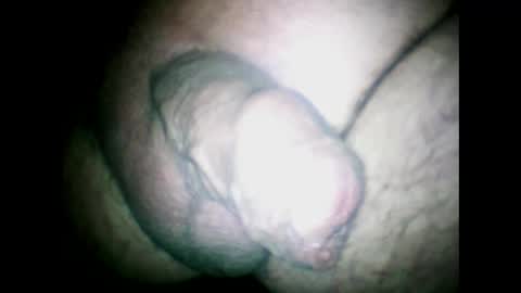 Snapshot of littlestick chatting on 12.04.24 littlestick online show from 12.04.24