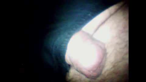 Snapshot of littlestick chatting on 01.20.25 littlestick online show from 01.20.25