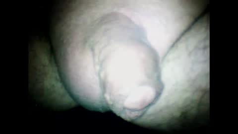 Snapshot of littlestick chatting on 01.30.25 littlestick online show from 01.30.25