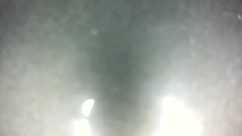 Snapshot of littlestick chatting on 12.03.25 littlestick online show from 12.03.25